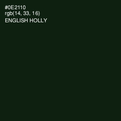 #0E2110 - English Holly Color Image
